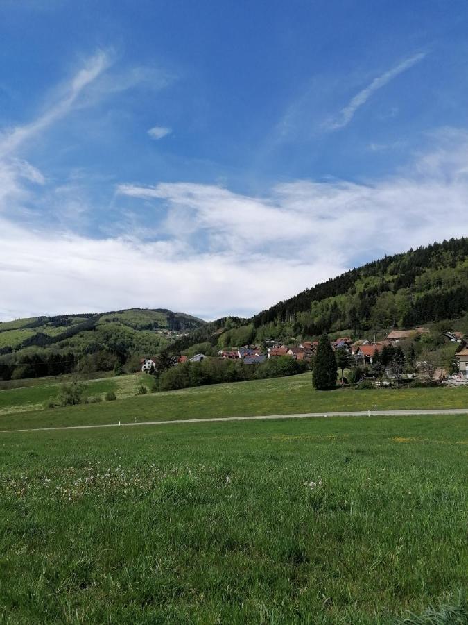 Schwarzwald Appartement Steinen  Kültér fotó